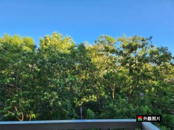 師大附中面公園四房帶車位