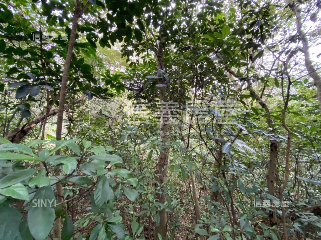 林口瑞平段土地房屋室內格局與周邊環境
