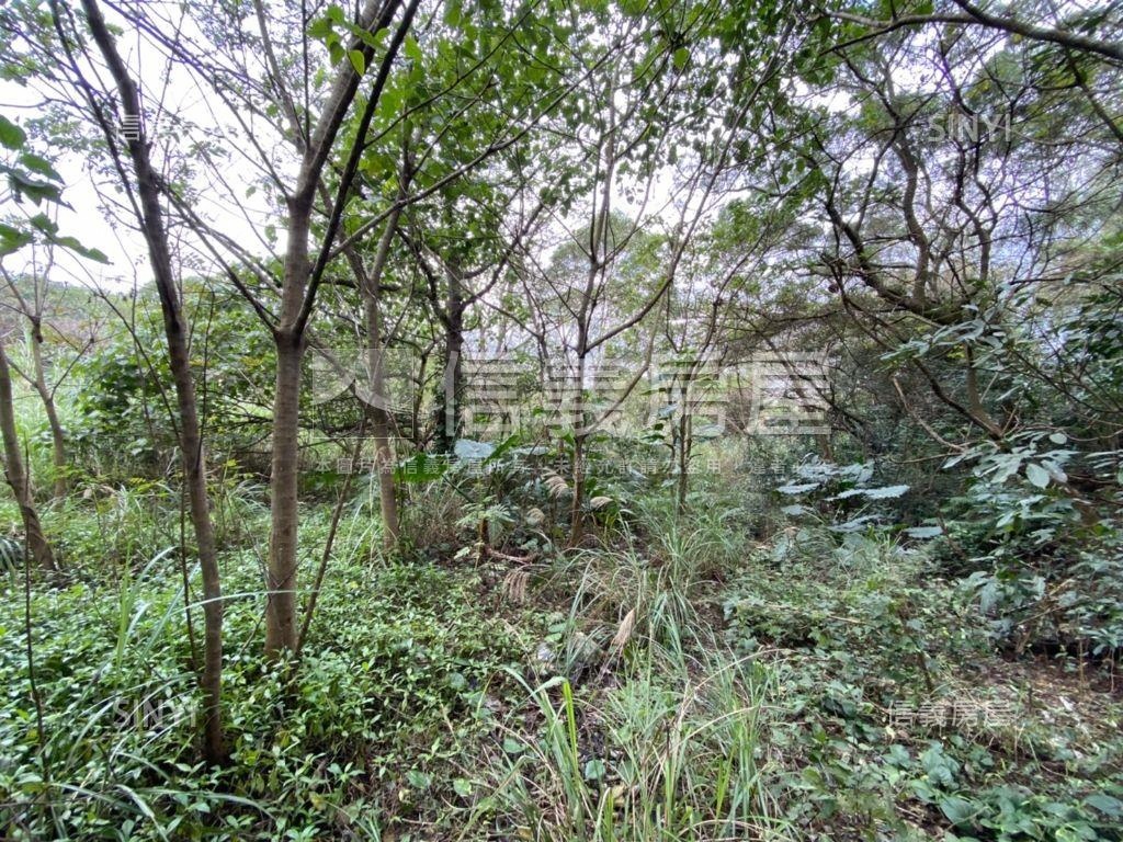 林口瑞平段土地房屋室內格局與周邊環境