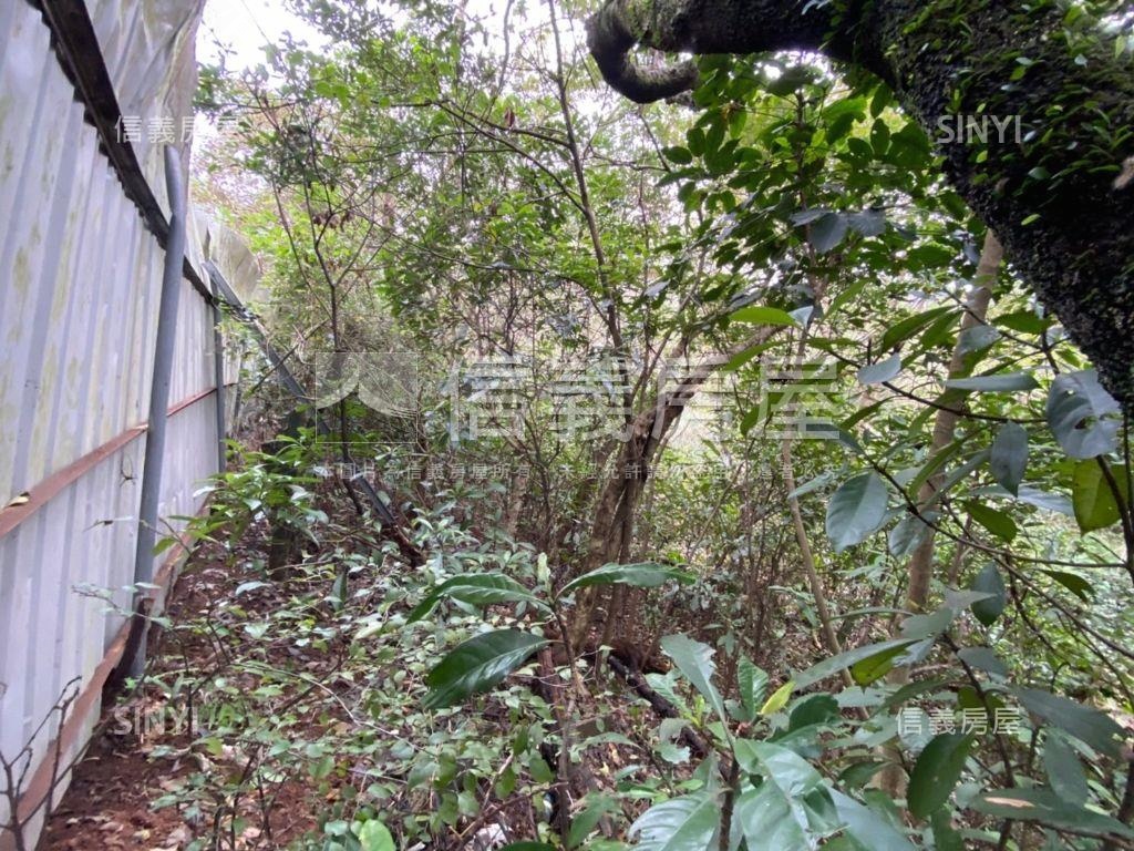 林口瑞平段土地房屋室內格局與周邊環境