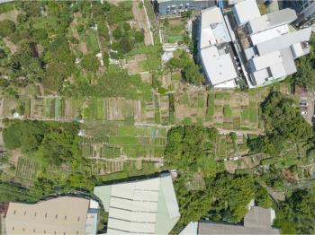 新北新莊稀有農地乙工土地