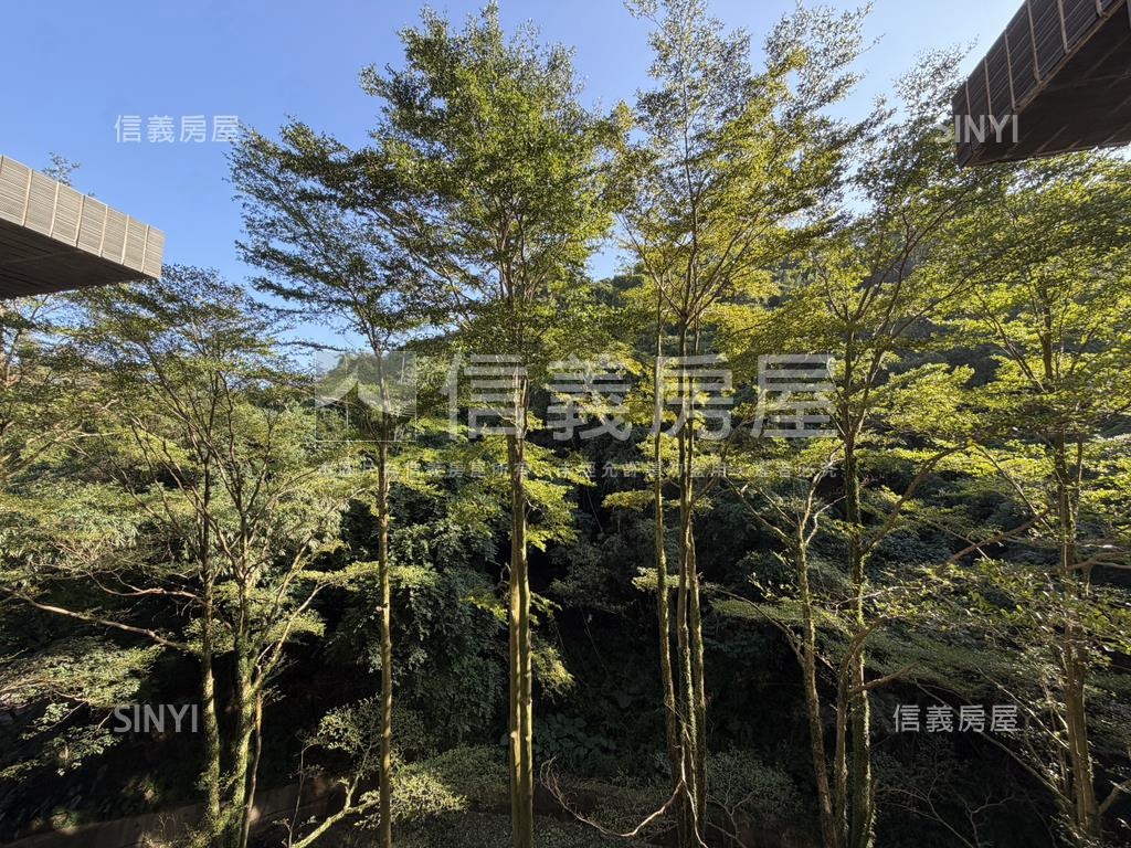 星野之森沐月區看綠樹二房房屋室內格局與周邊環境