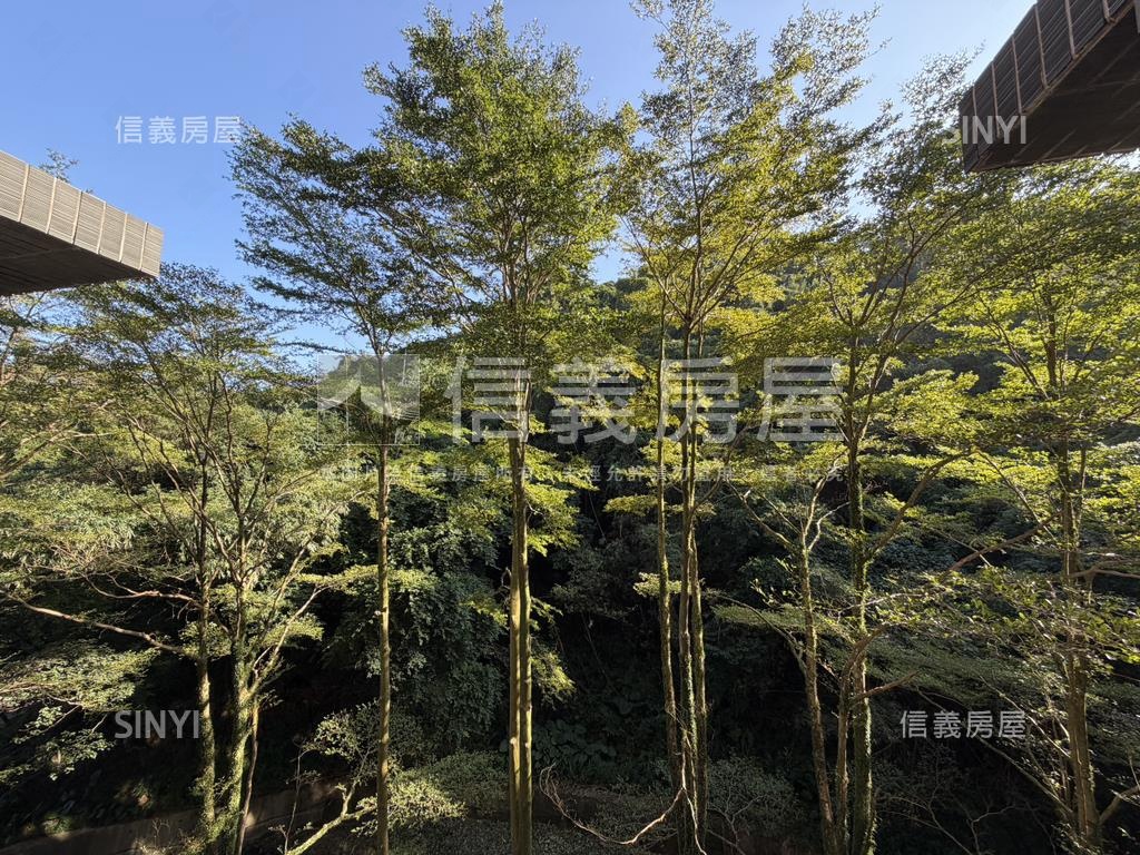 星野之森沐月區看綠樹二房房屋室內格局與周邊環境