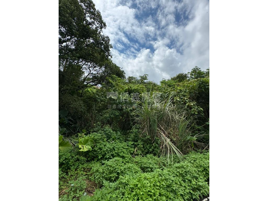 三芝芝蘭段土地房屋室內格局與周邊環境