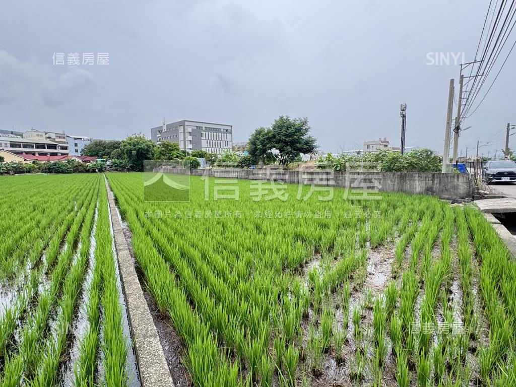 大肚都計內農地房屋室內格局與周邊環境