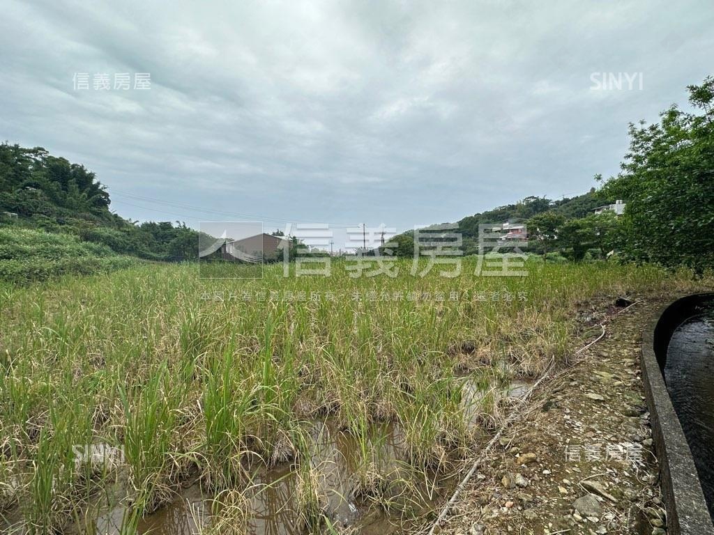 芝柏山莊旁臨路土地有水源房屋室內格局與周邊環境