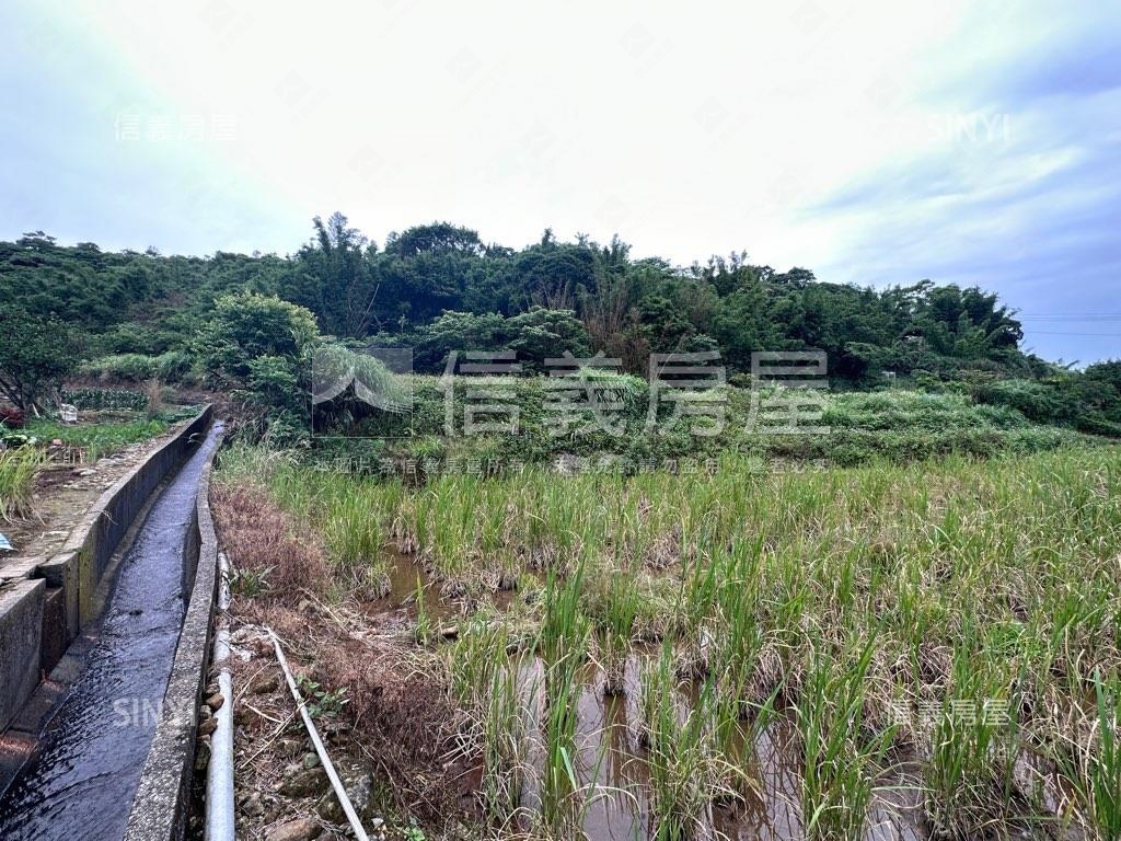 芝柏山莊旁臨路土地有水源房屋室內格局與周邊環境