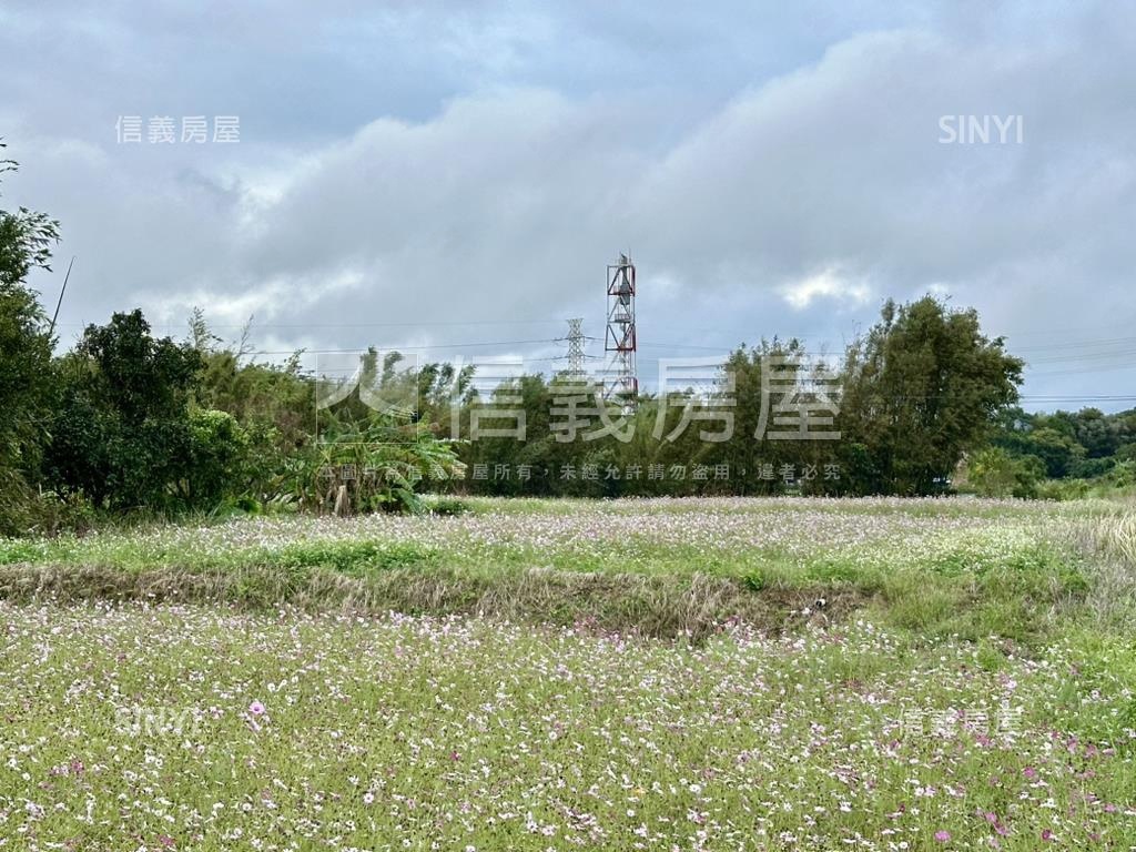 大溪石門大圳水岸農地一房屋室內格局與周邊環境