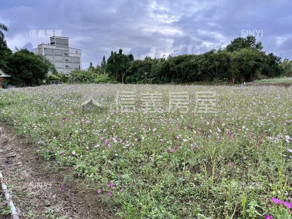 大溪石門大圳水岸農地一房屋室內格局與周邊環境
