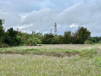 大溪石門大圳水岸農地一