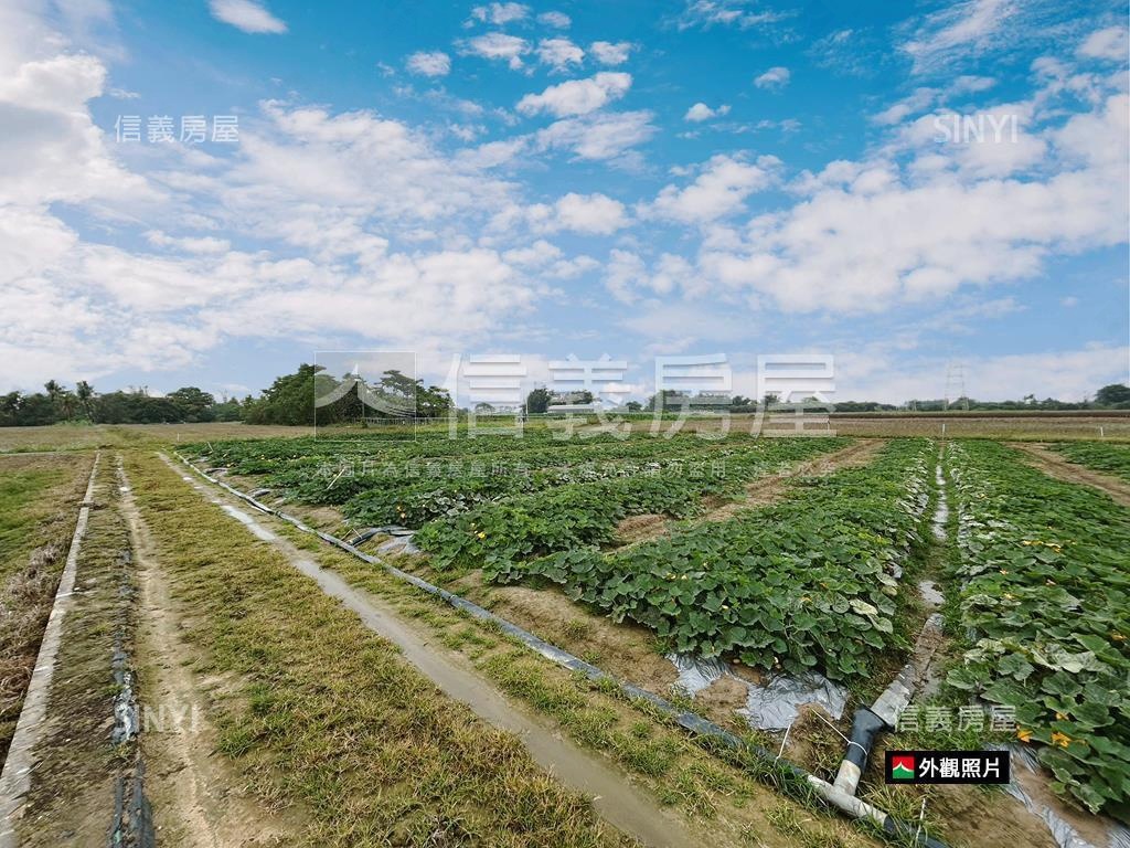 新市近國８農地有資材室房屋室內格局與周邊環境