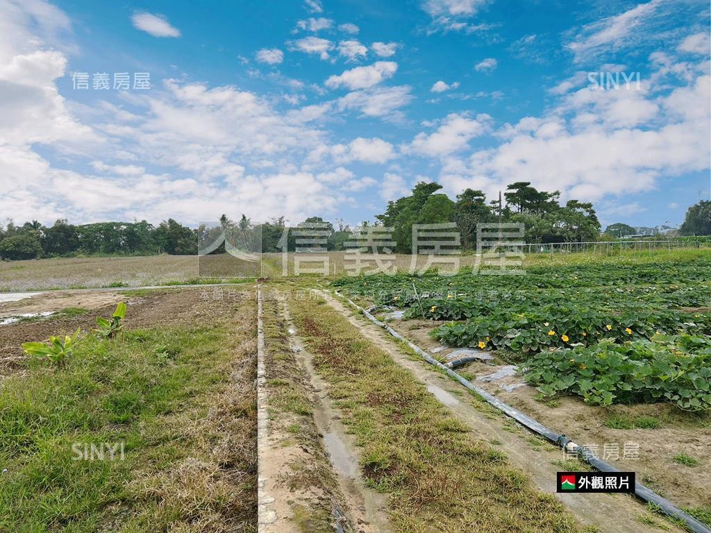 新市近國８農地有資材室房屋室內格局與周邊環境
