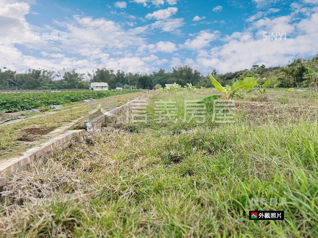 新市近國８農地有資材室房屋室內格局與周邊環境