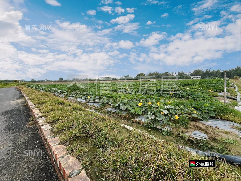 新市近國８農地有資材室房屋室內格局與周邊環境