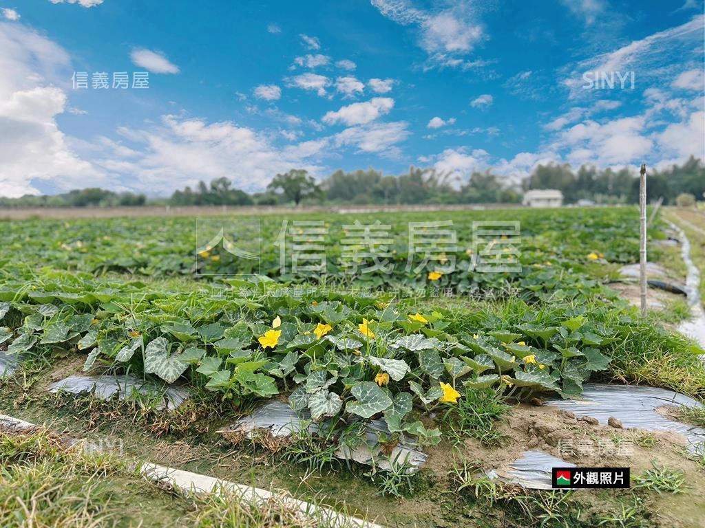 新市近國８農地有資材室房屋室內格局與周邊環境