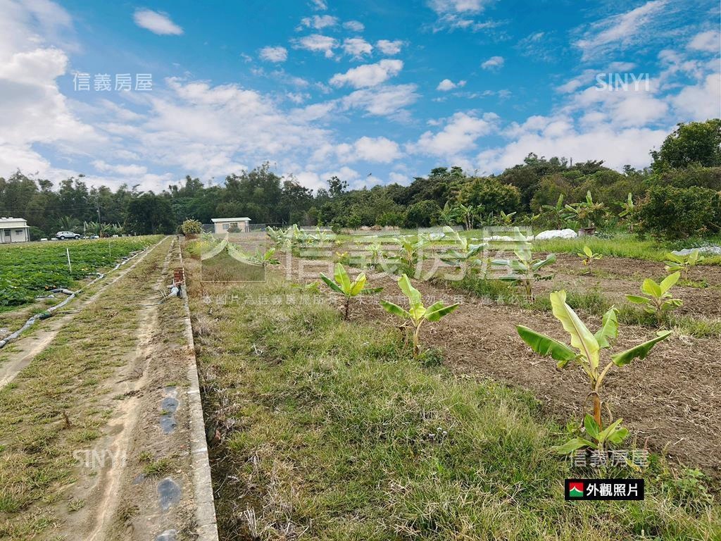 新市近國８農地有資材室房屋室內格局與周邊環境