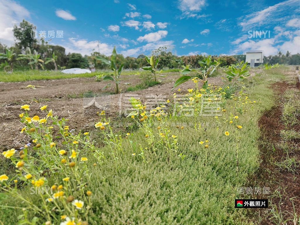 新市近國８農地有資材室房屋室內格局與周邊環境