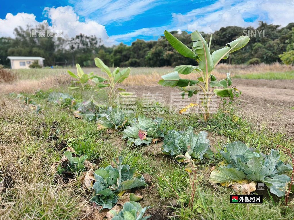 新市近國８農地有資材室房屋室內格局與周邊環境