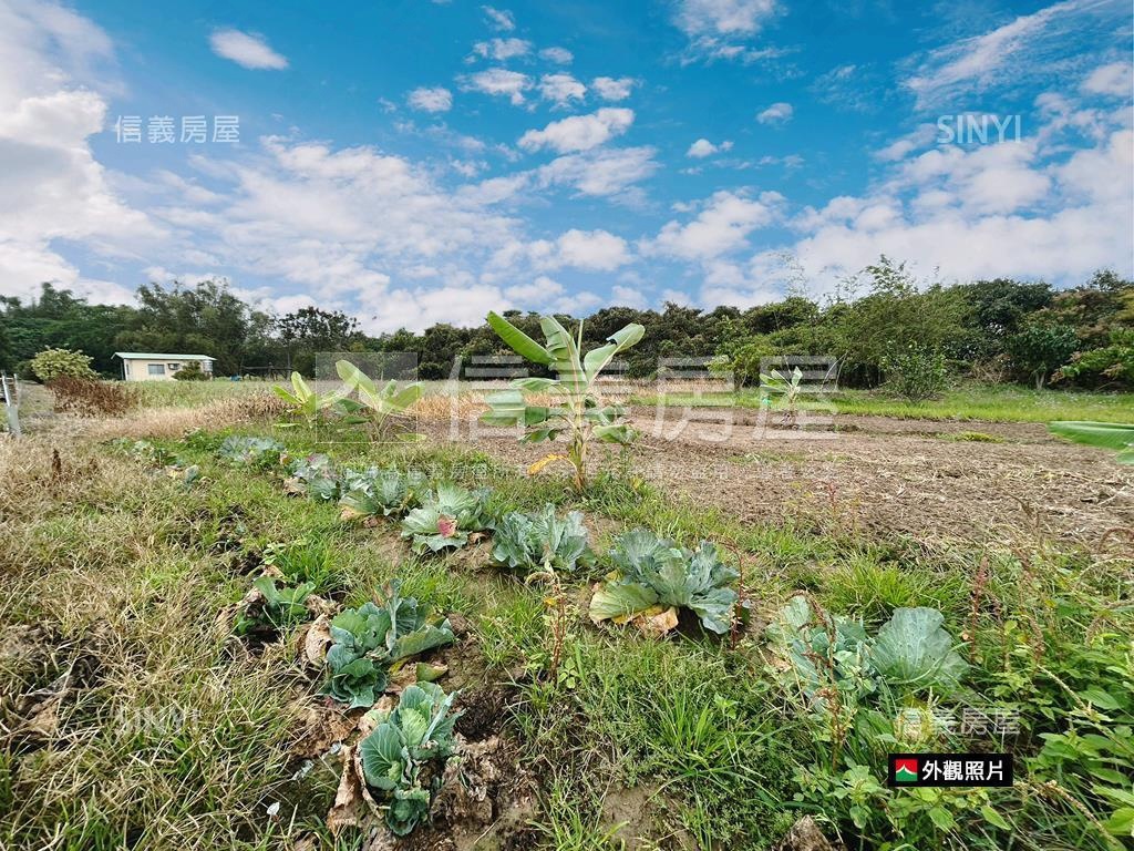 新市近國８農地有資材室房屋室內格局與周邊環境