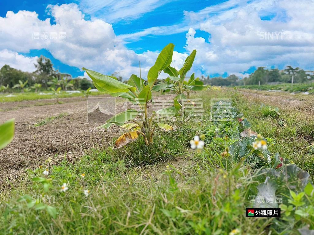 新市近國８農地有資材室房屋室內格局與周邊環境