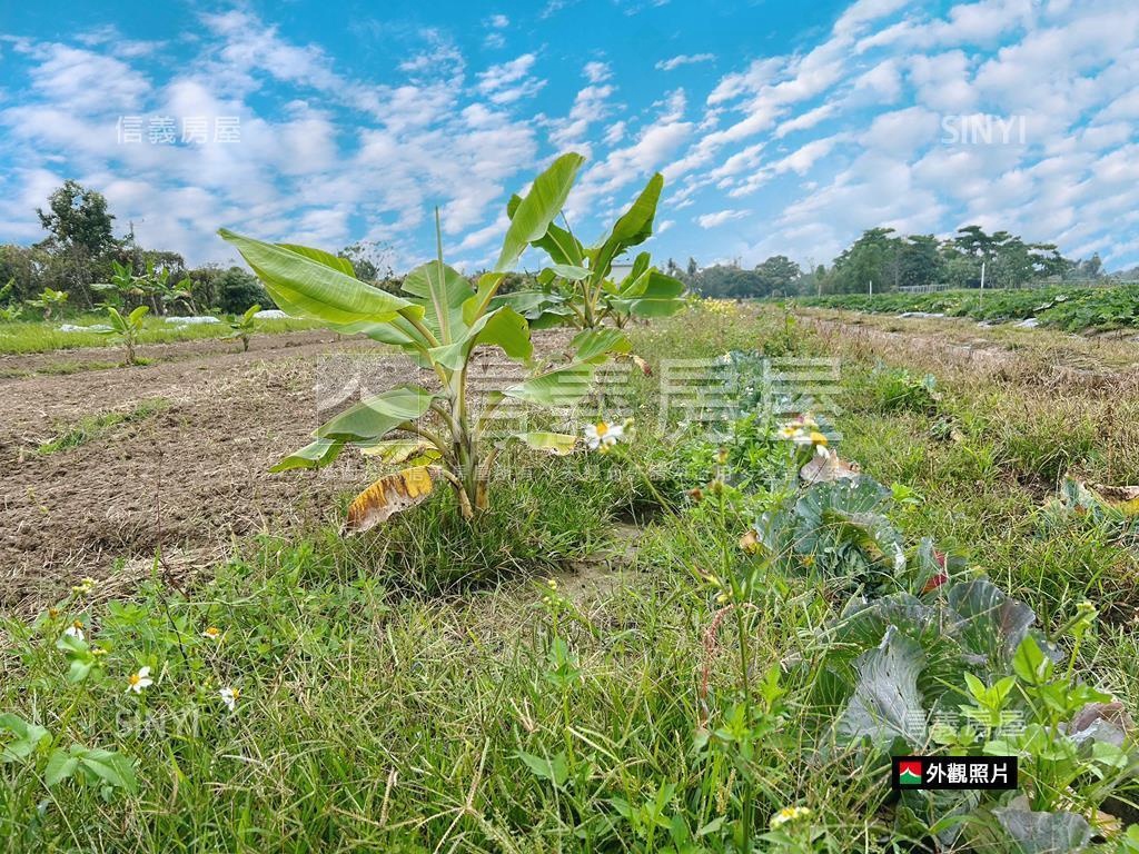 新市近國８農地有資材室房屋室內格局與周邊環境