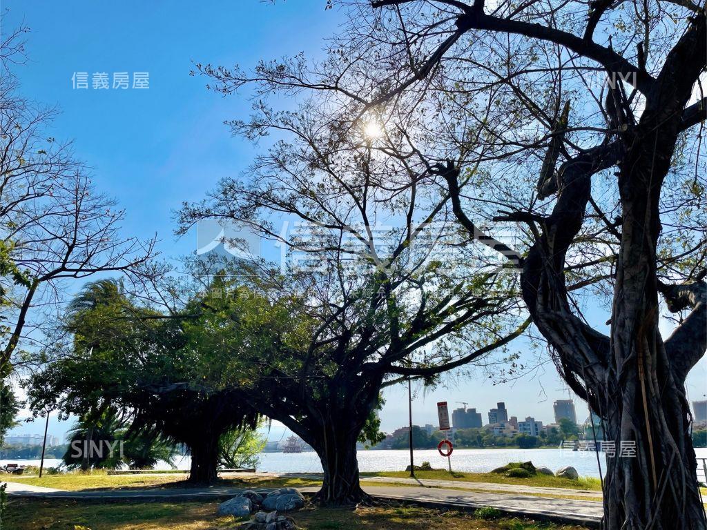 蓮潭綠境｜森活邊間美透天房屋室內格局與周邊環境