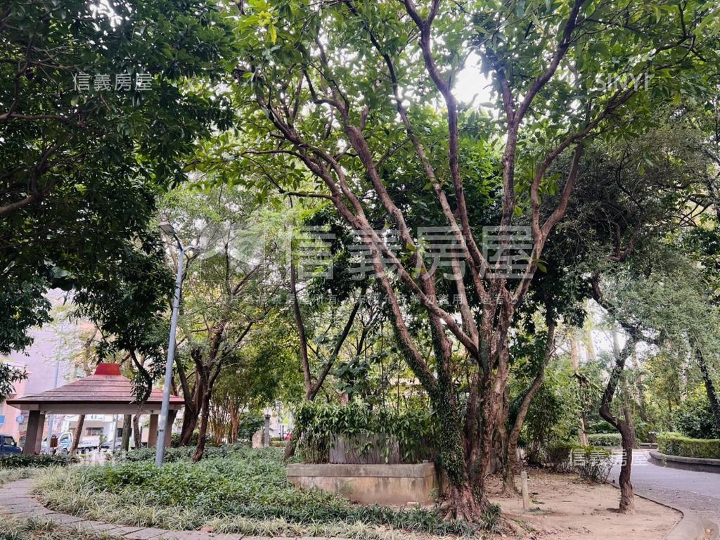 永康金華庭院一樓房屋室內格局與周邊環境