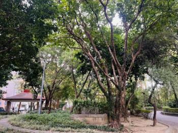 永康金華庭院一樓