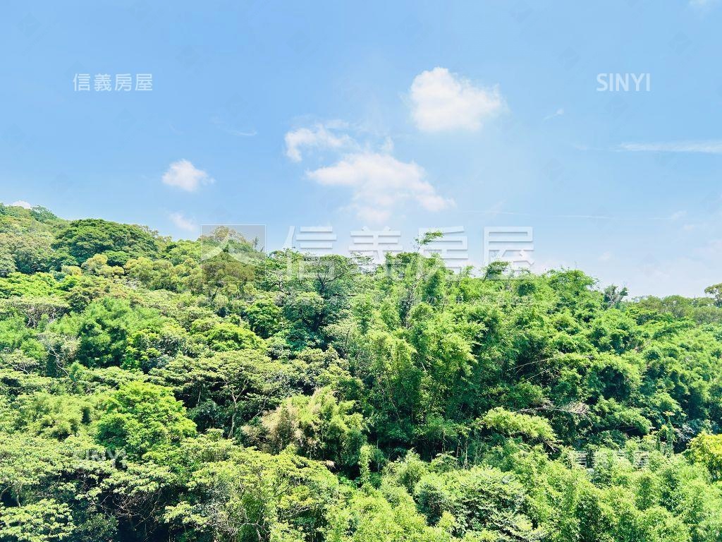 正面山景代官山兩房車位房屋室內格局與周邊環境