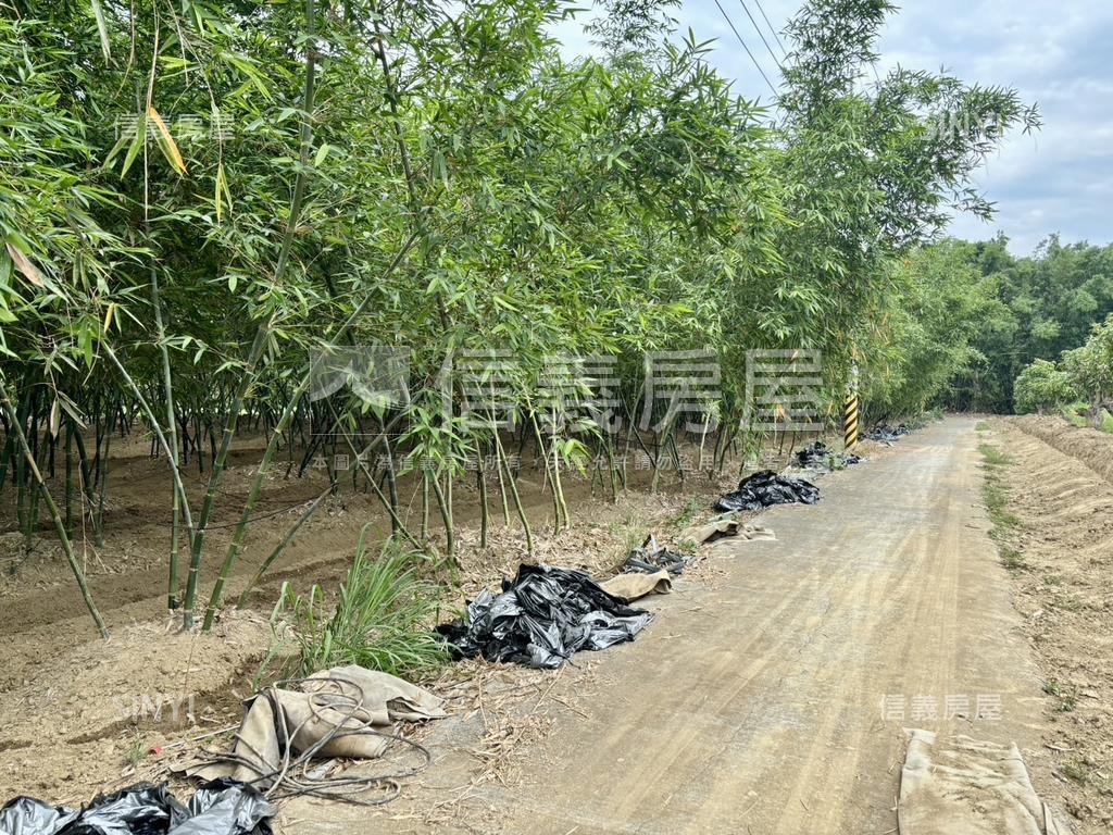 一大片的好地房屋室內格局與周邊環境