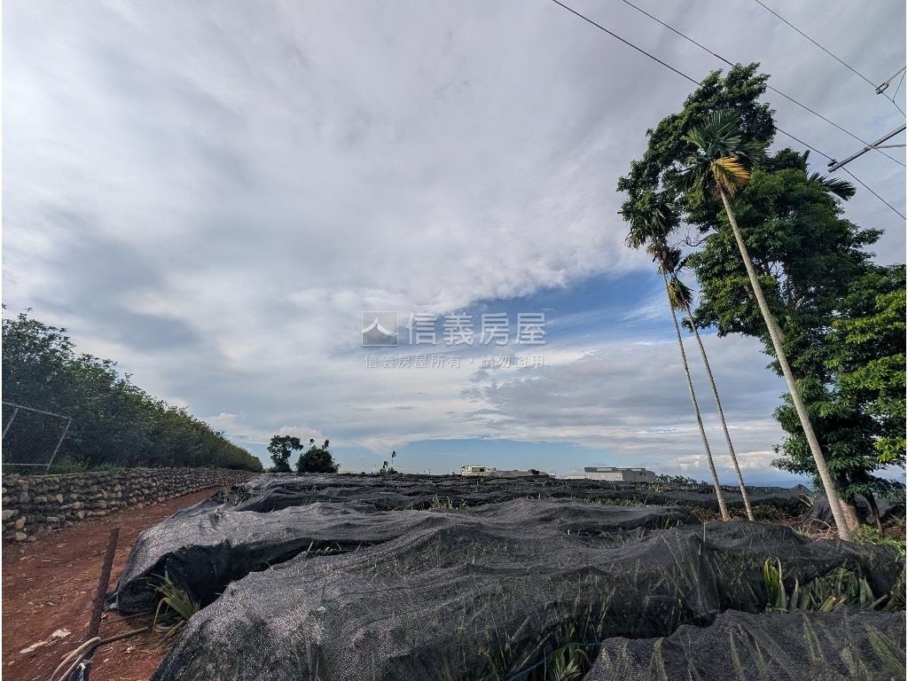 名間南松嶺段方正農地房屋室內格局與周邊環境
