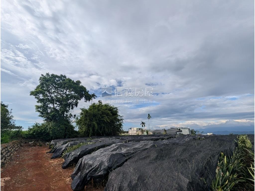 名間南松嶺段方正農地房屋室內格局與周邊環境