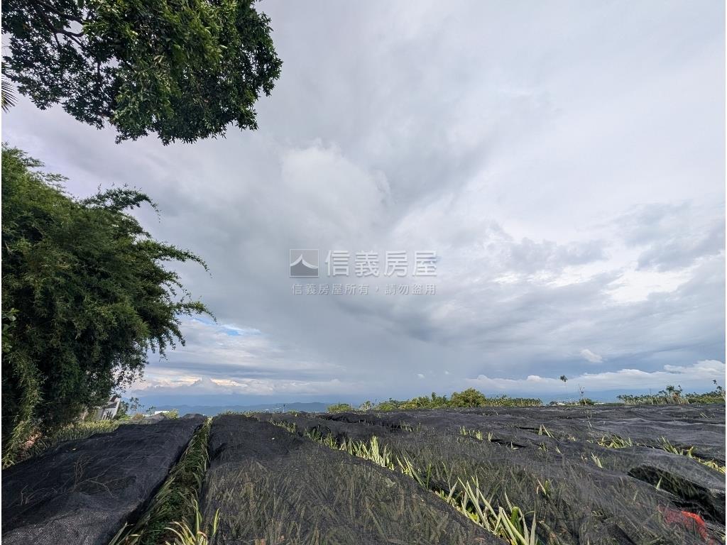 名間南松嶺段方正農地房屋室內格局與周邊環境