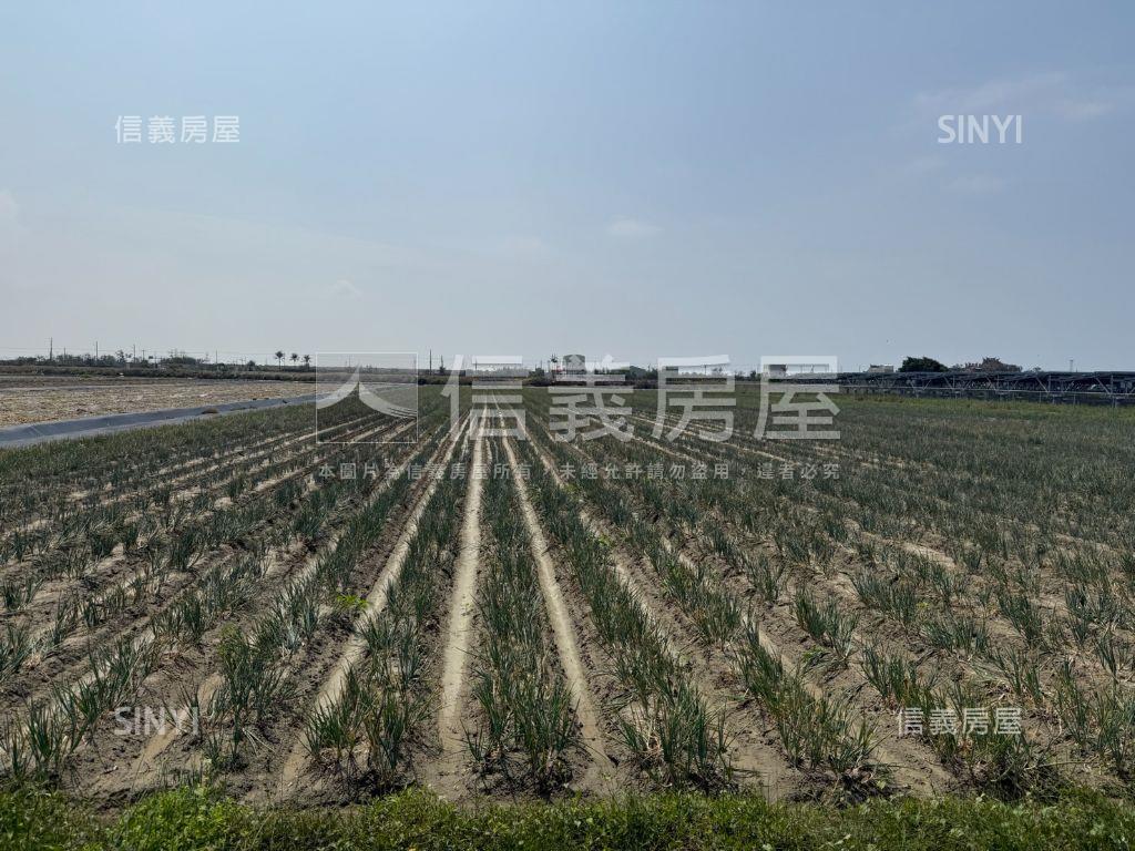 七股電廠旁土地房屋室內格局與周邊環境