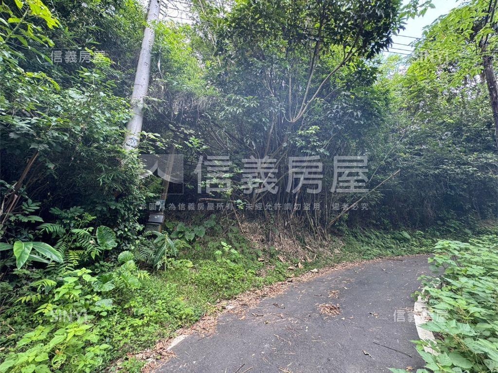 寶山千坪土地房屋室內格局與周邊環境