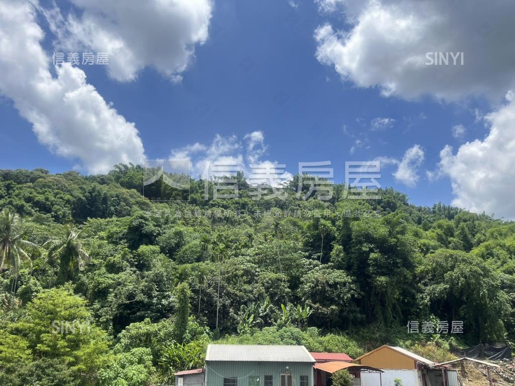 南投九九峰視野庭院大別墅房屋室內格局與周邊環境