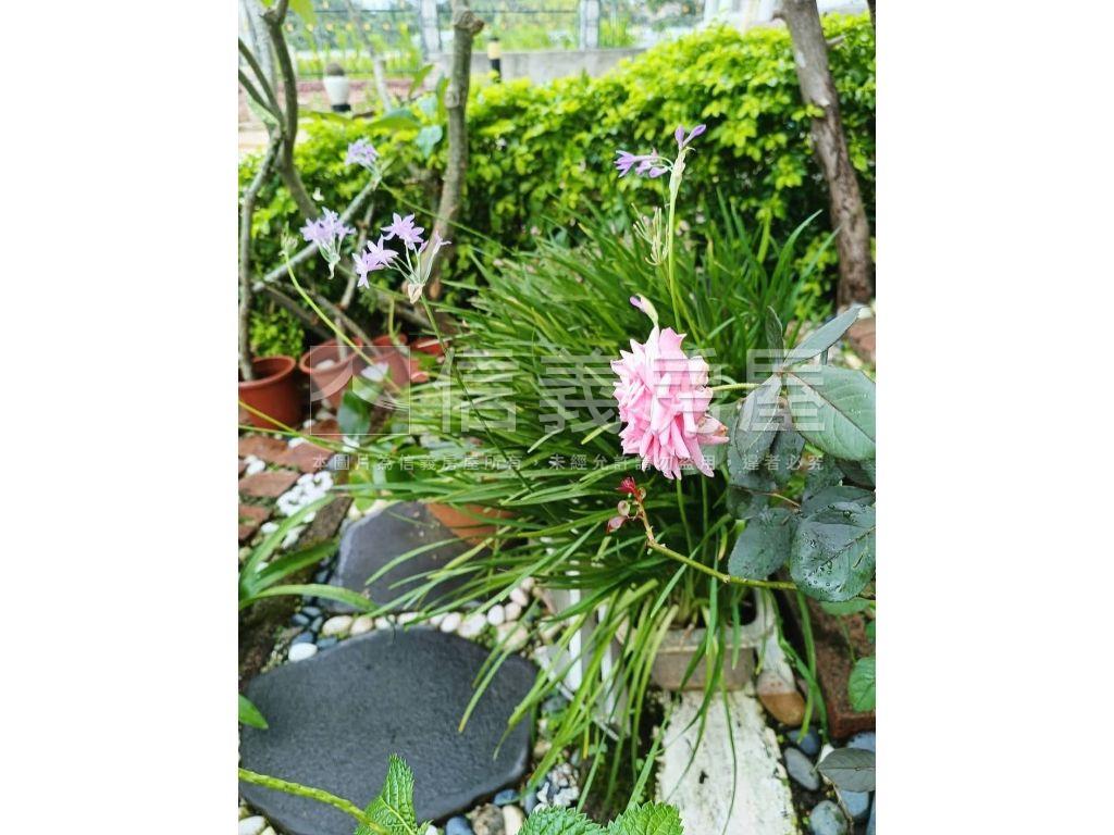 詩情畫意仙境美宅錯過可惜房屋室內格局與周邊環境