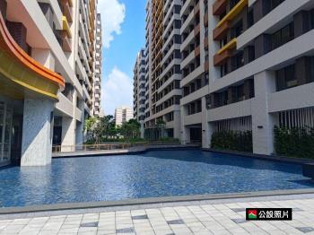 次頂樓四房東都綠學雙平車