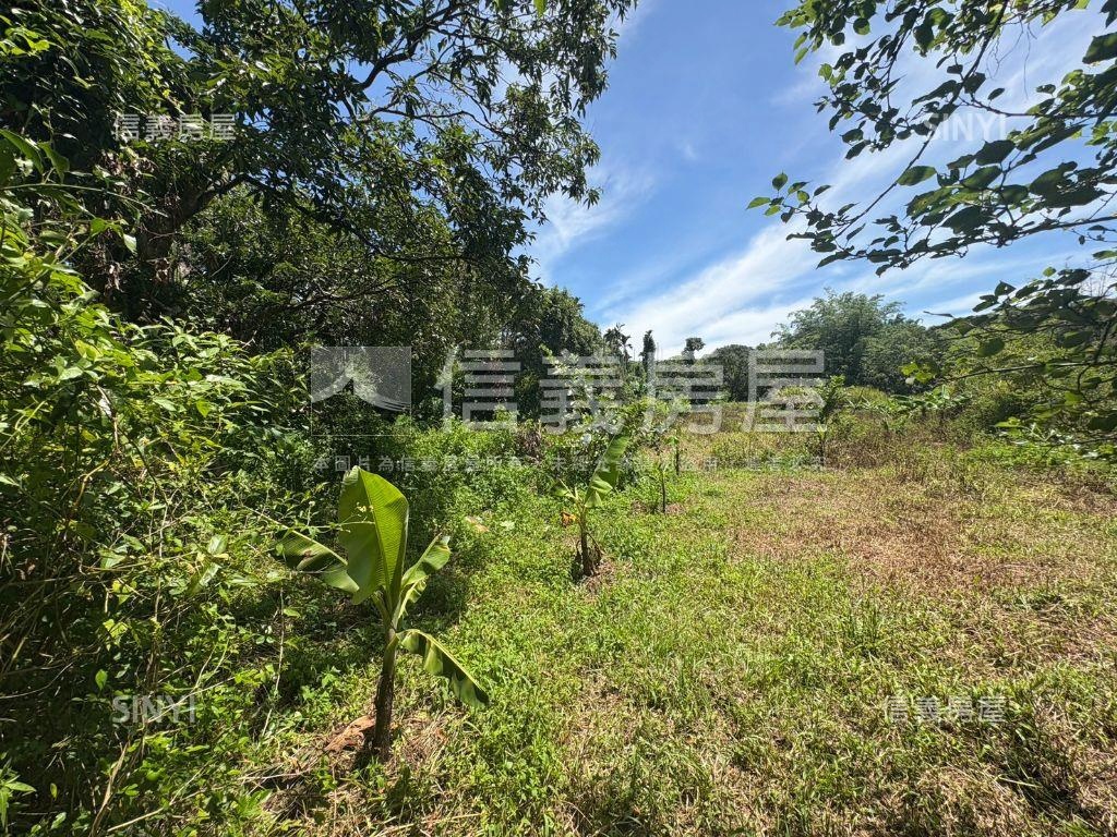 白河低總價農地Ａ房屋室內格局與周邊環境