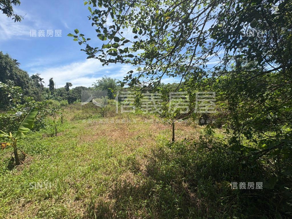 白河低總價農地Ａ房屋室內格局與周邊環境