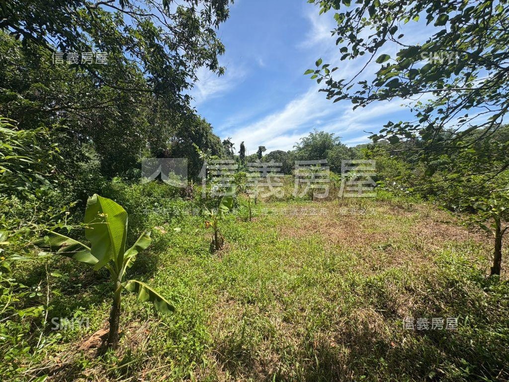 白河低總價農地Ａ房屋室內格局與周邊環境