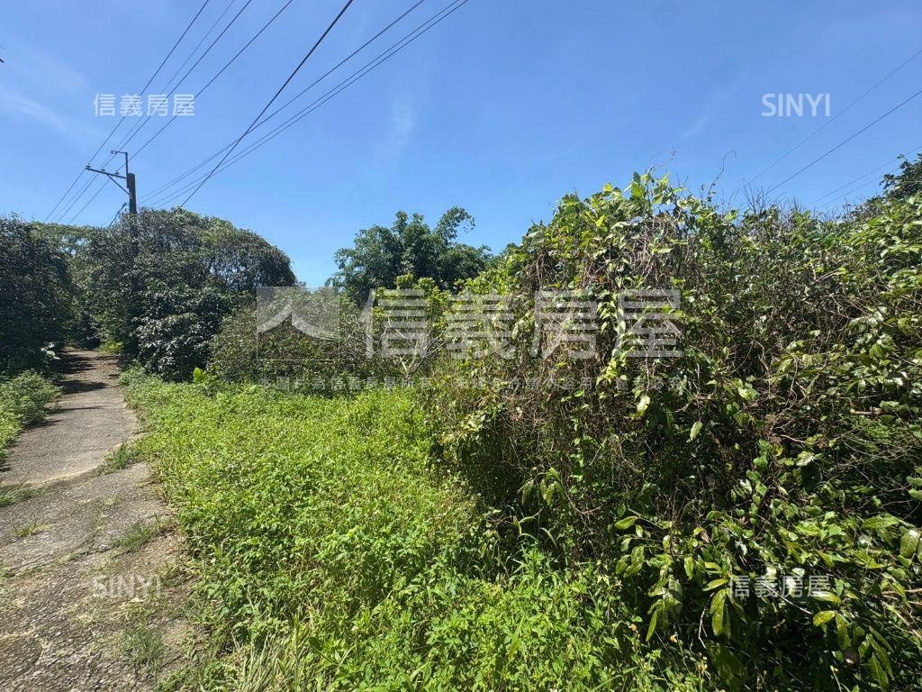 白河低總價農地Ａ房屋室內格局與周邊環境