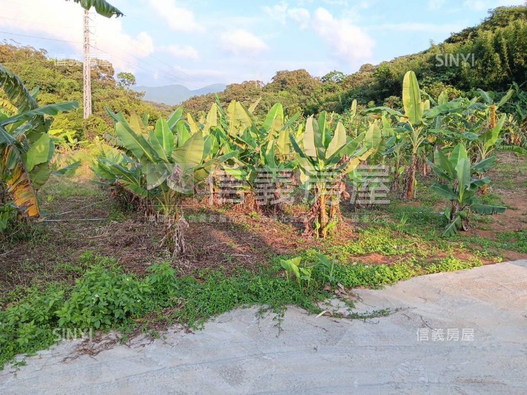 淡水頂田寮開心農地房屋室內格局與周邊環境