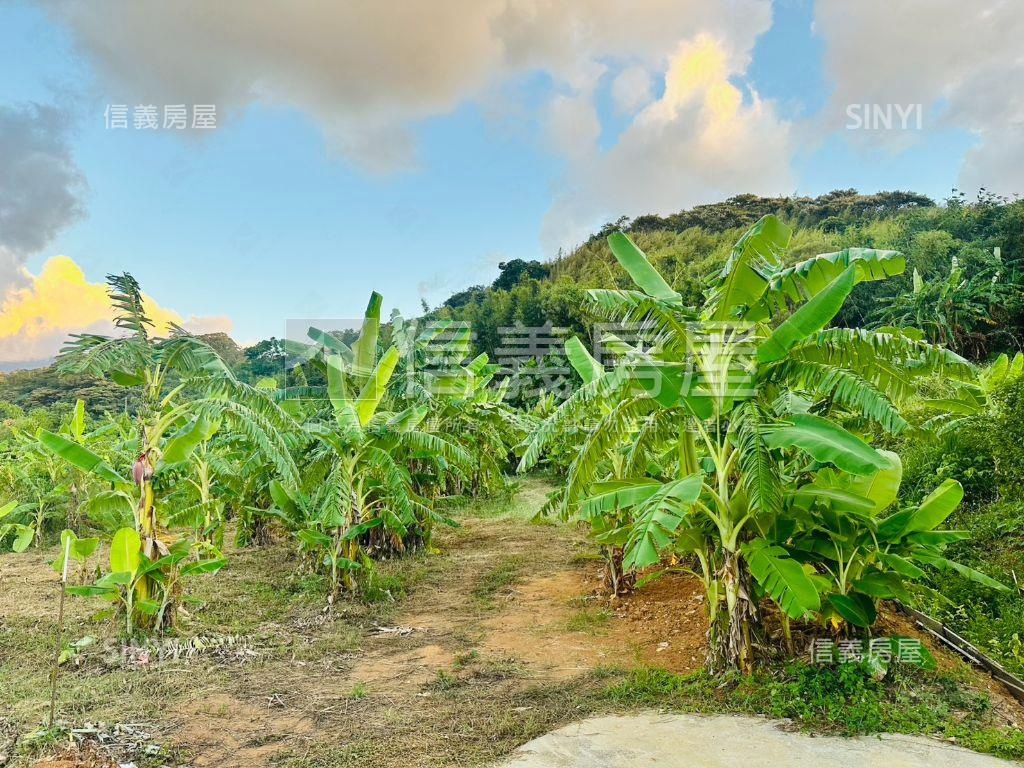 淡水頂田寮開心農地房屋室內格局與周邊環境