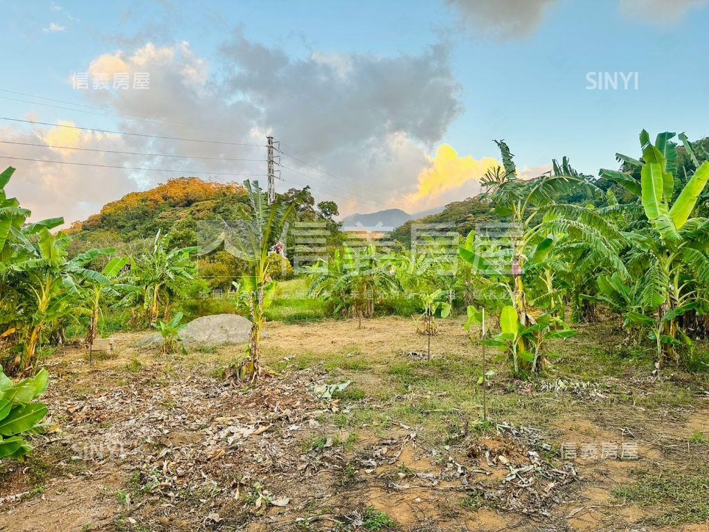 淡水頂田寮開心農地房屋室內格局與周邊環境