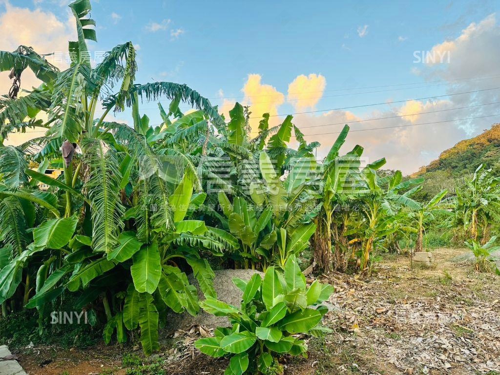 淡水頂田寮開心農地房屋室內格局與周邊環境
