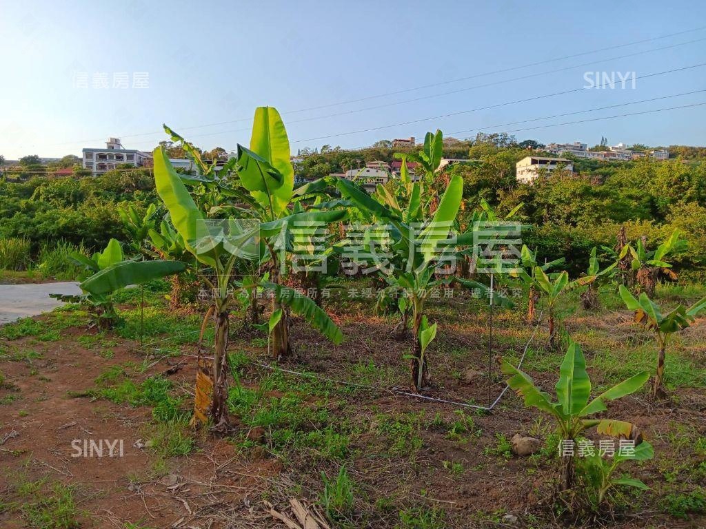 淡水頂田寮開心農地房屋室內格局與周邊環境
