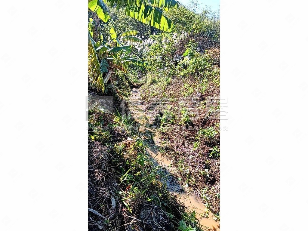 淡水頂田寮開心農地房屋室內格局與周邊環境