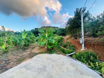 淡水頂田寮開心農地