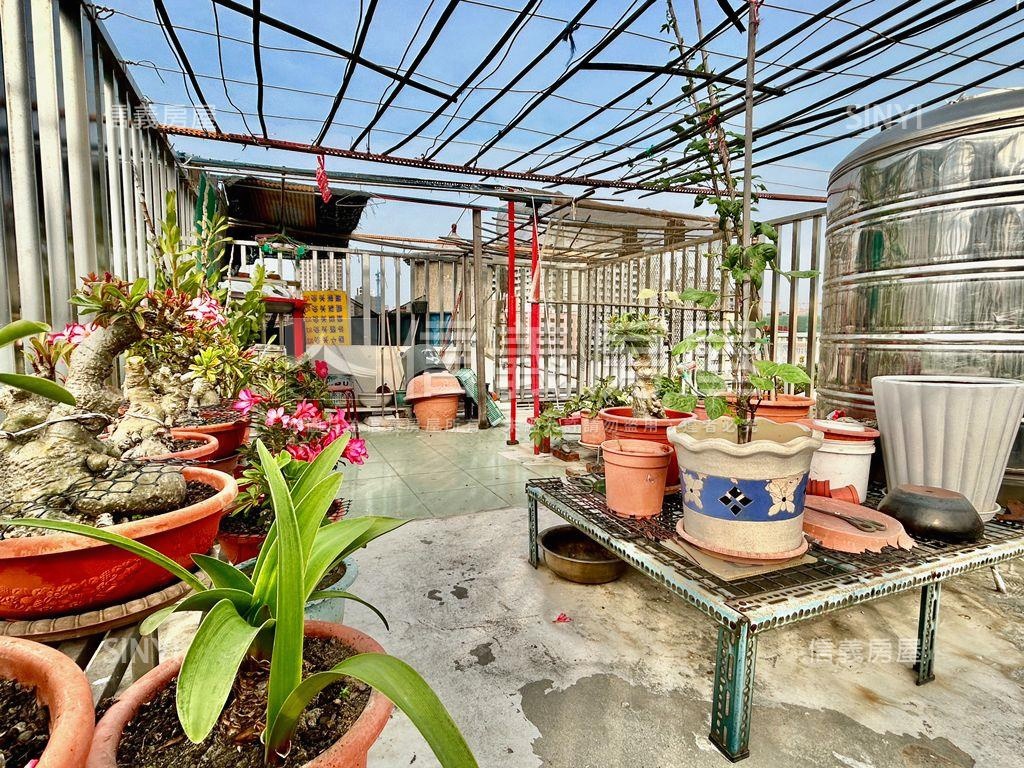 輕軌旁稀有獨棟透天房屋室內格局與周邊環境